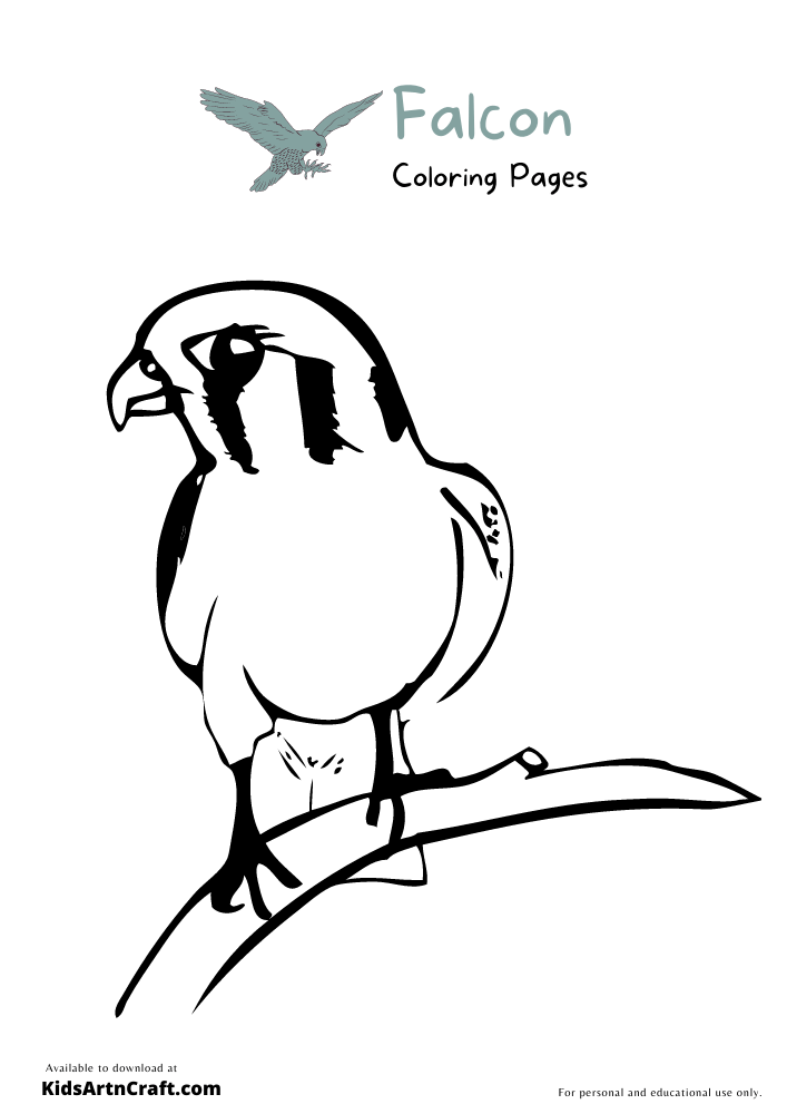 Falcon Coloring Pages For Kids – Free Printables