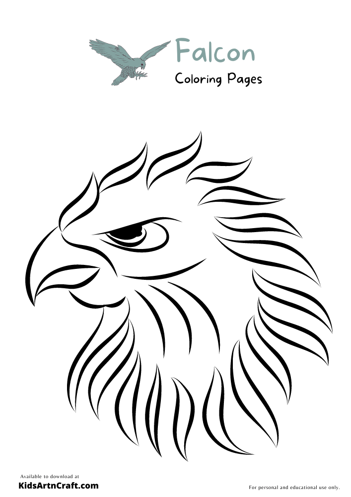 Falcon Coloring Pages For Kids – Free Printables