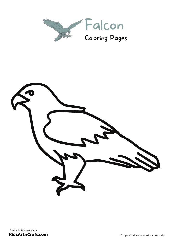 Falcon Coloring Pages For Kids – Free Printables