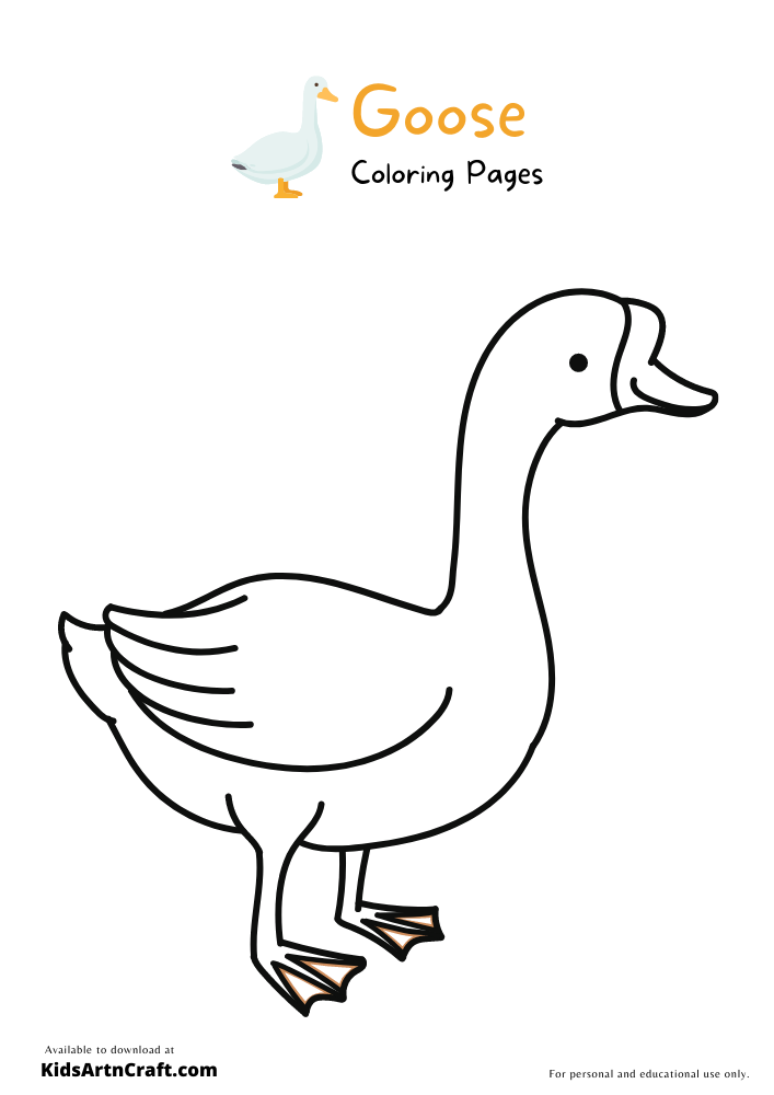 Goose Coloring Pages For Kids – Free Printables
