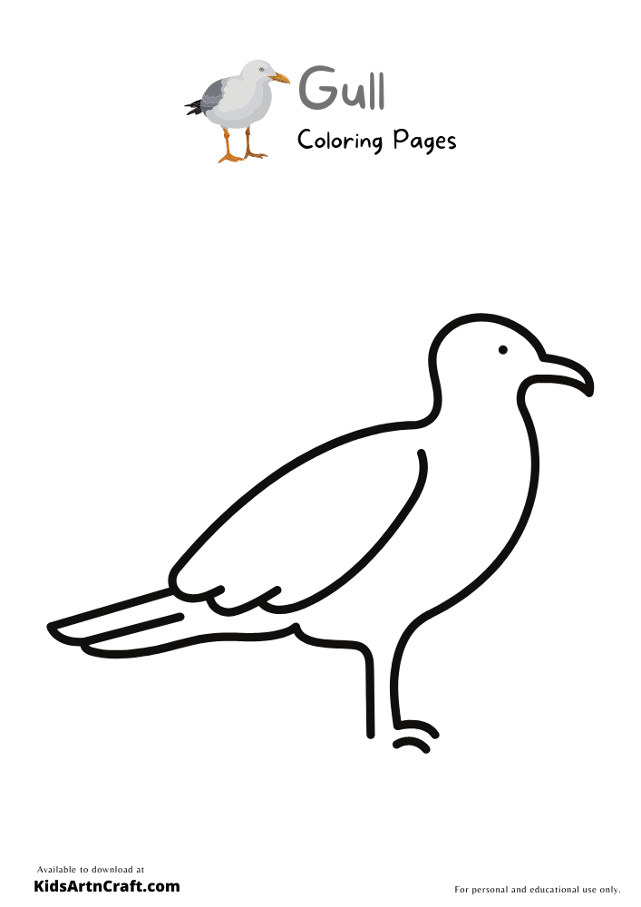 Gull Coloring Pages For Kids – Free Printables