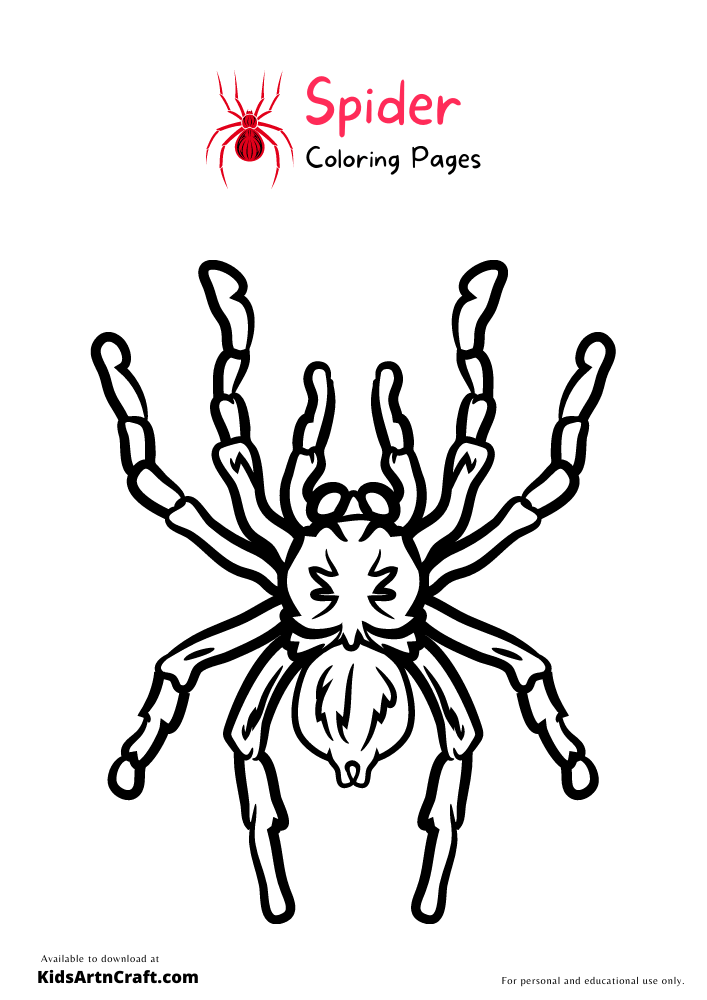 Spider Coloring Pages For Kids – Free Printables