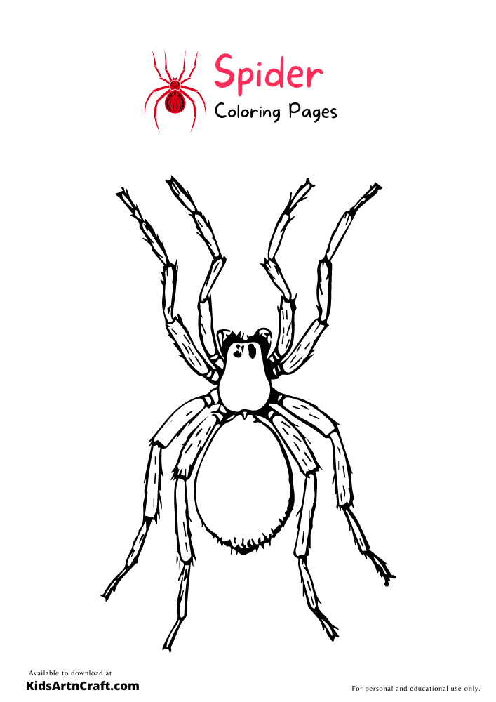 Spider Coloring Pages For Kids – Free Printables