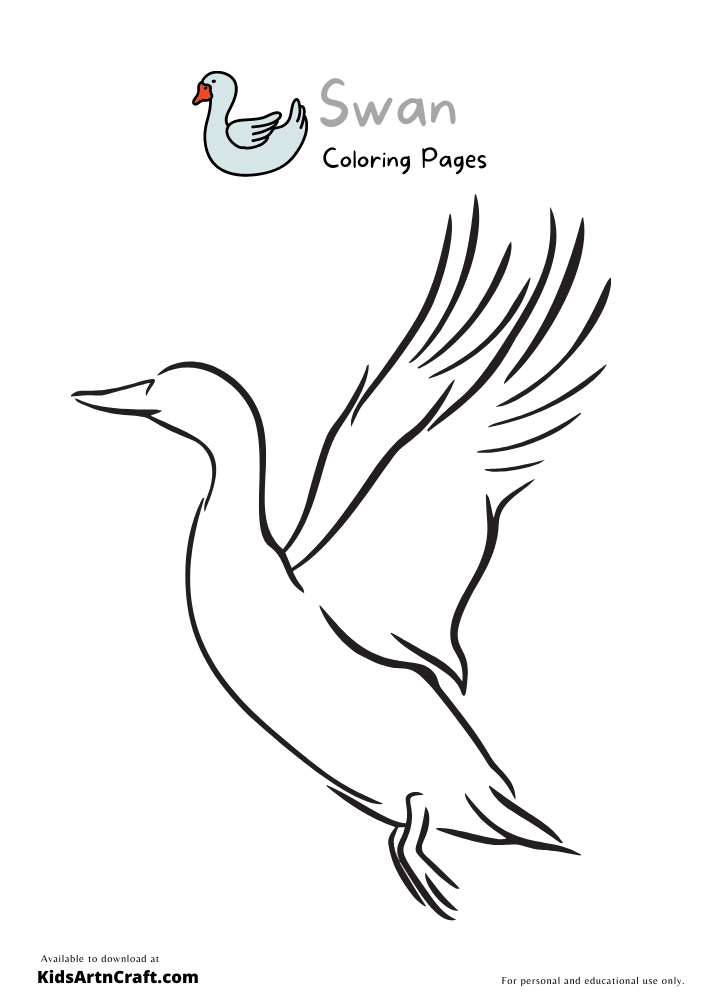  Swan Coloring Pages For Kids – Free Printables