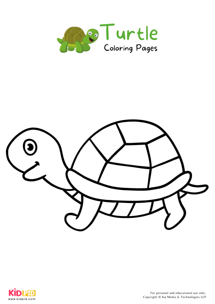 Turtle Coloring Pages For Kids – Free Printables - Kids Art &amp; Craft