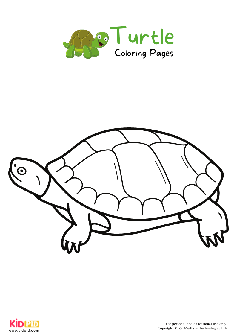 Turtle Coloring Pages For Kids – Free Printables