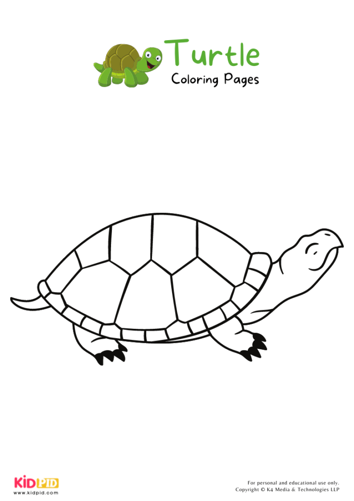 Turtle Coloring Pages For Kids – Free Printables - Kids Art & Craft