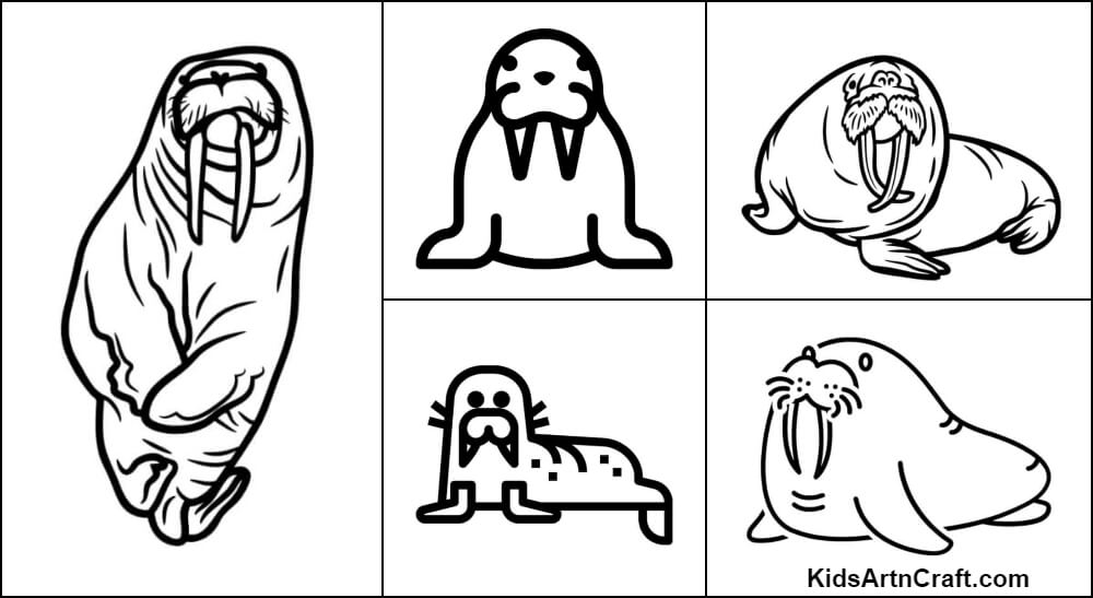 Walrus Coloring Pages For Kids – Free Printables