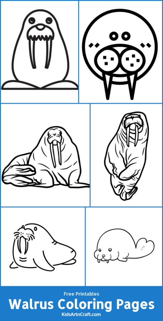 Walrus Coloring Pages For Kids – Free Printables - Kids Art &amp; Craft
