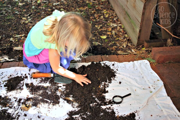 What Lives In Dirt Science Experiment