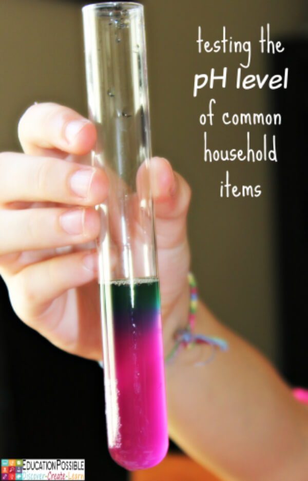 Acid and Base Science Experiment for Kids