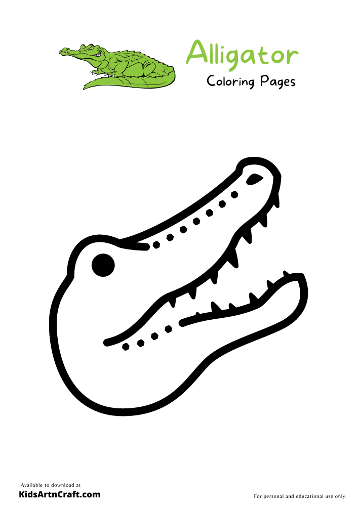  Alligator Coloring Pages For Kids – Free Printables