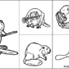 Beaver Coloring Pages For Kids – Free Printables