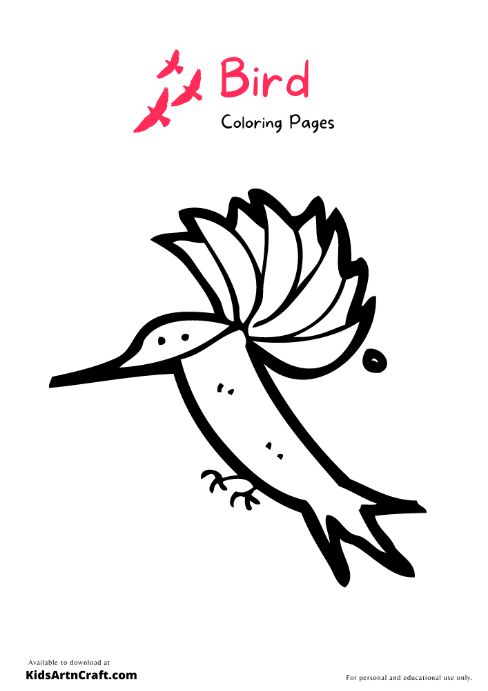 Bird Coloring Pages for Kids – Free Printables 