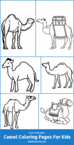 Camel Coloring Pages for Kids – Free Printables - Kids Art &amp; Craft