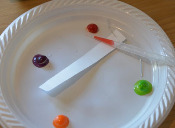 Easy Science Fair Projects for 8th Grade Candy Chromatography Science Project For 6th Grade