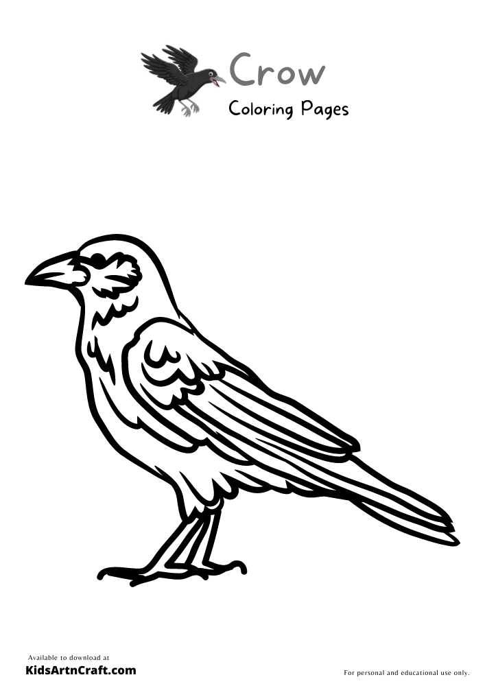 Crow Coloring Pages for Kids – Free Printables