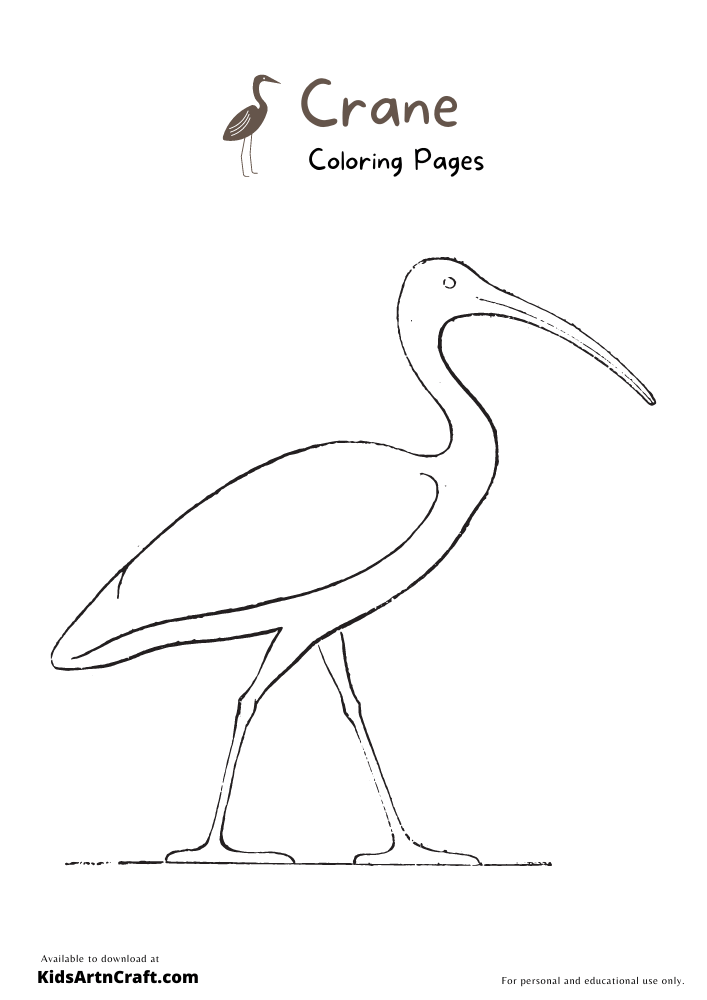  Crane Coloring Pages For Kids – Free Printables