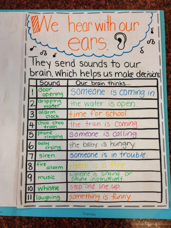 Creative Ways to Teach Five Senses Creative Five Senses Activity For 1st Grade 