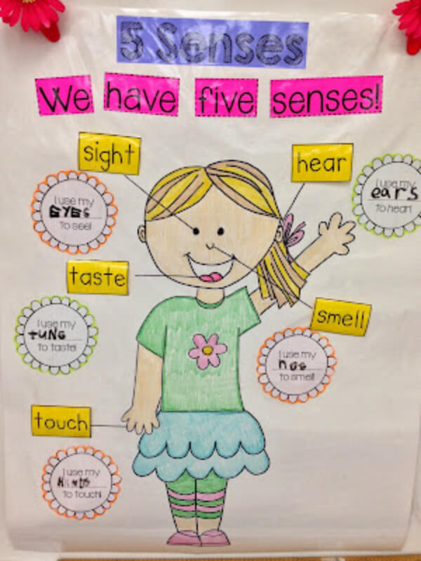 Creative Ways to Teach Five Senses Five Senses Teaching Activity 