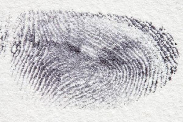 Crime Scene Fingerprinting Science Project experiment For 8th Grade
