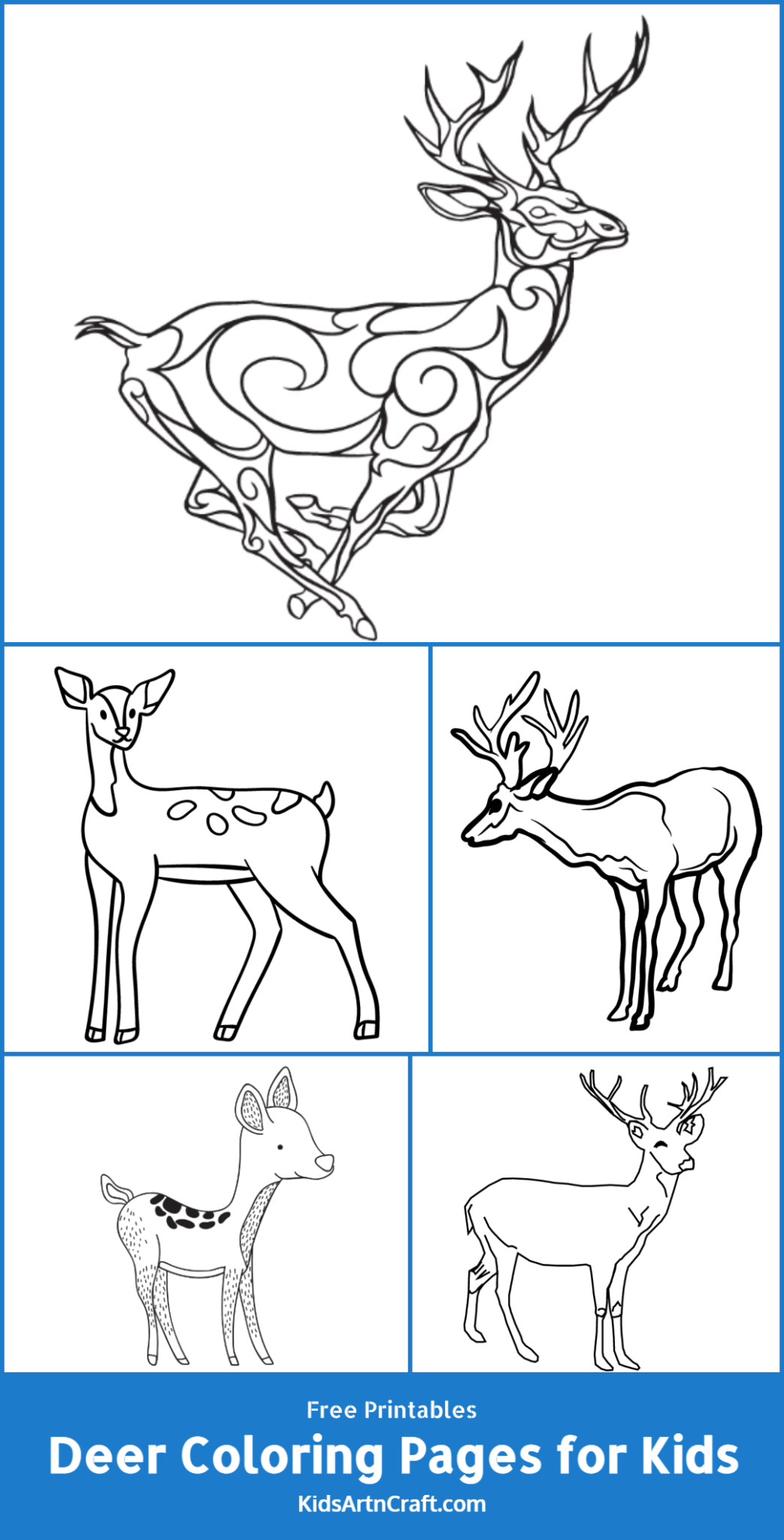 Deer Coloring Pages for Kids – Free Printables - Kids Art & Craft
