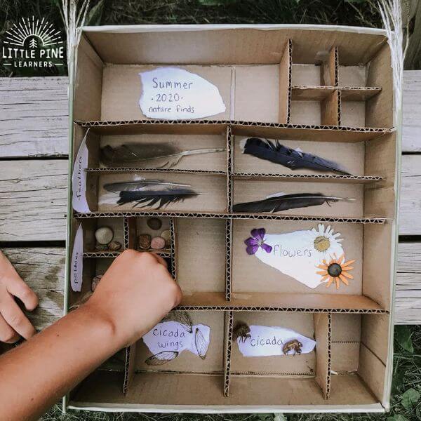 DIY Cardboard Nature Display Craft Project Creative Things To Do At Home