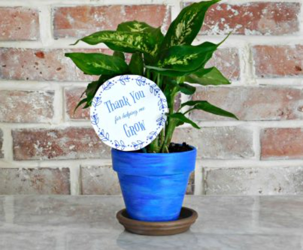 Handmade Gift Ideas For Teachers DIY Potted Plant Appreciation Gift For Teachervv
