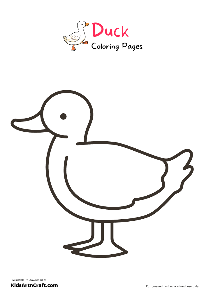 Duck Coloring Pages for Kids – Free Printables