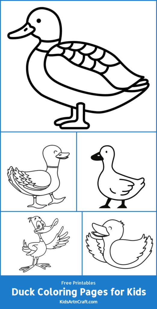 Duck Coloring Pages for Kids – Free Printables - Kids Art & Craft