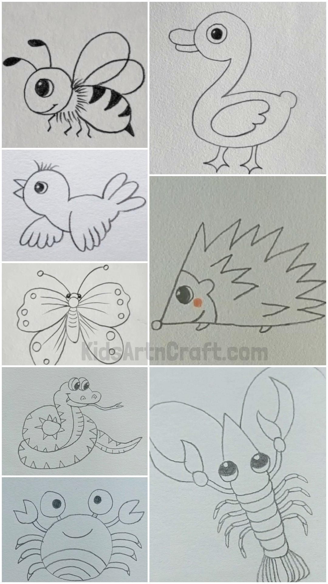 Easy Animal Drawings For Kids