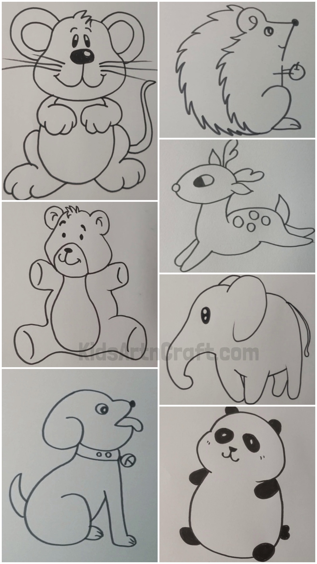 Easy to Draw Cute Animal Drawings for Kids