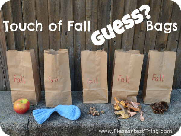 Fall Guess Bags Activity For Kindergarten 