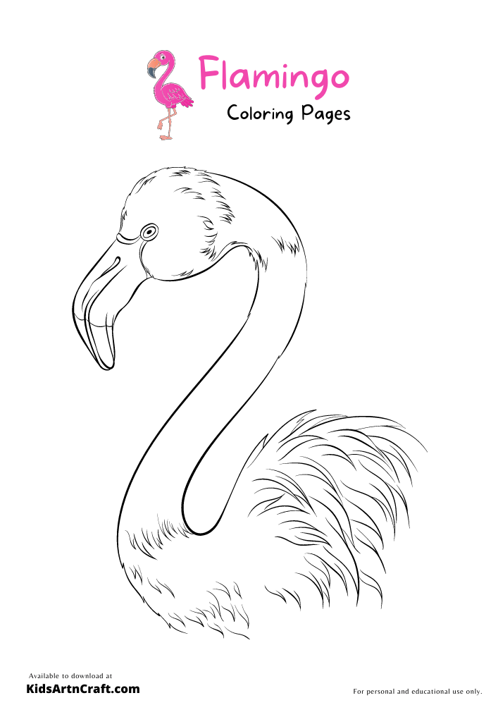 Flamingo Coloring Pages For Kids
