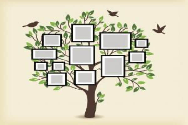 Free Family Tree Chart Activity For Kids