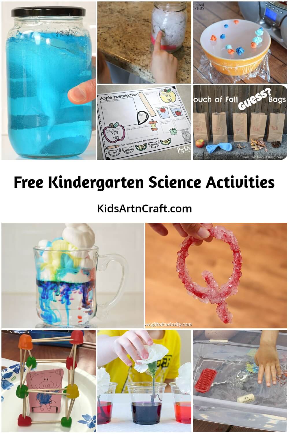 Free Kindergarten Science Activities