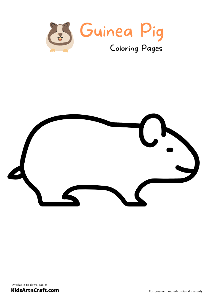 Guinea Pig Coloring Pages For Kids – Free Printables