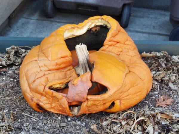  Halloween Pumpkin Decomposition Activity For Kindergarten
