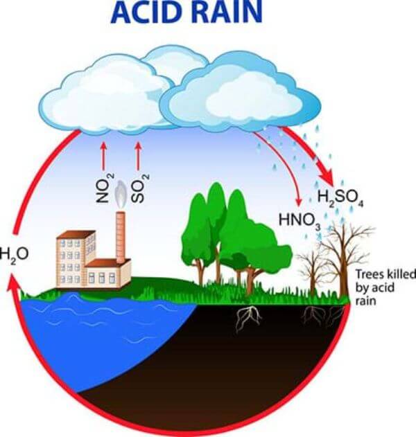 Climate Change Acid Rain Activity For Student