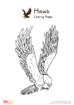 Hawk Coloring Pages For Kids – Free Printables - Kids Art &amp; Craft