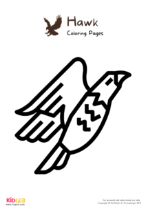 Hawk Coloring Pages For Kids – Free Printables - Kids Art &amp; Craft