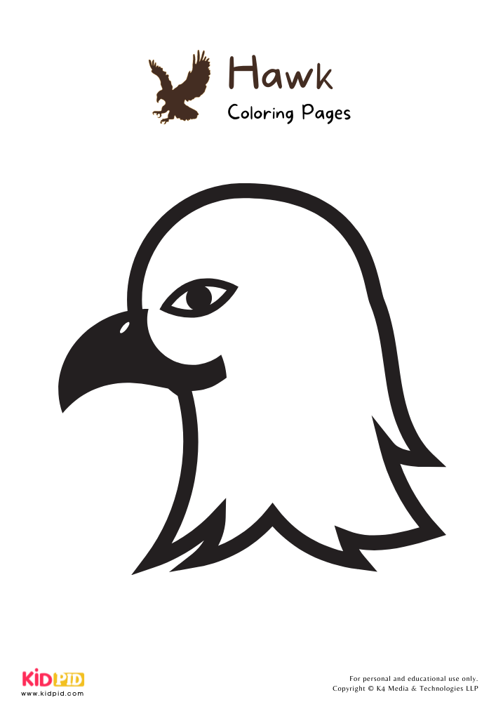 Hawk Coloring Pages For Kids – Free Printables