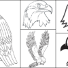 Hawk Coloring Pages For Kids – Free Printables