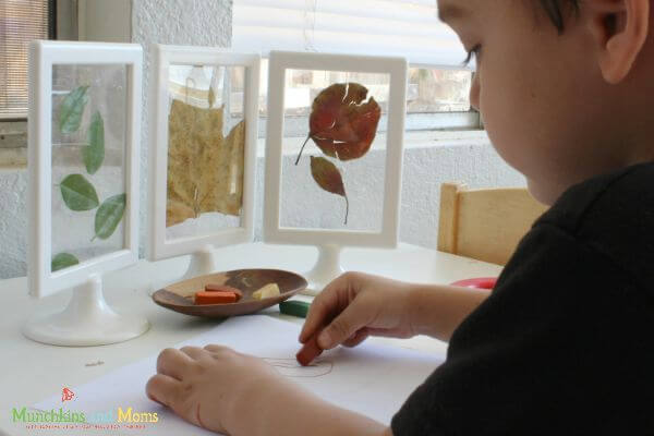 How To Draw Fall Leaves Art For Toddlers