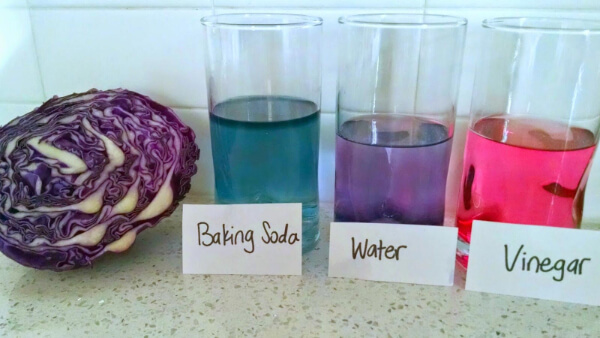 How To Make A Red Cabbage pH Indicator