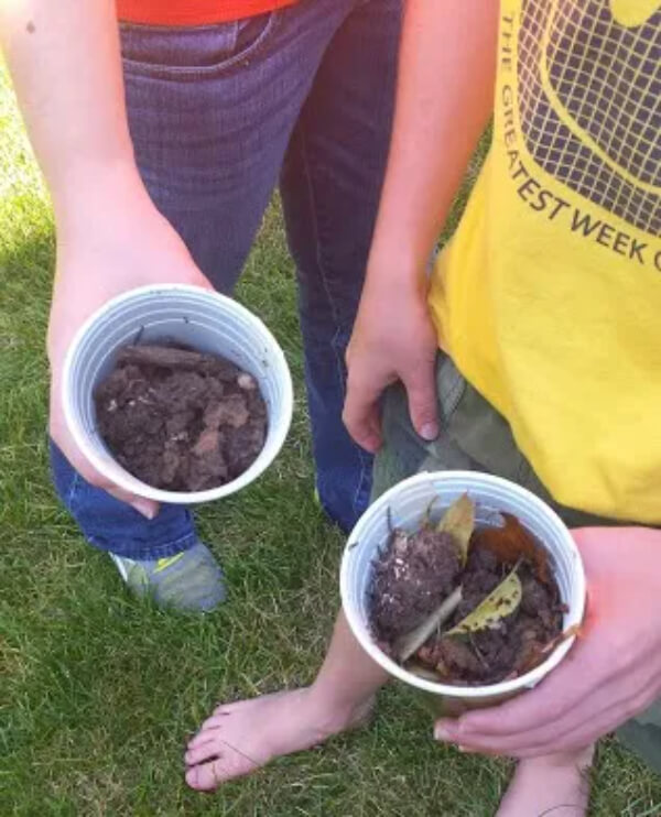 How To Make Compost Cups Science Experiments & Activities for 6th Grade