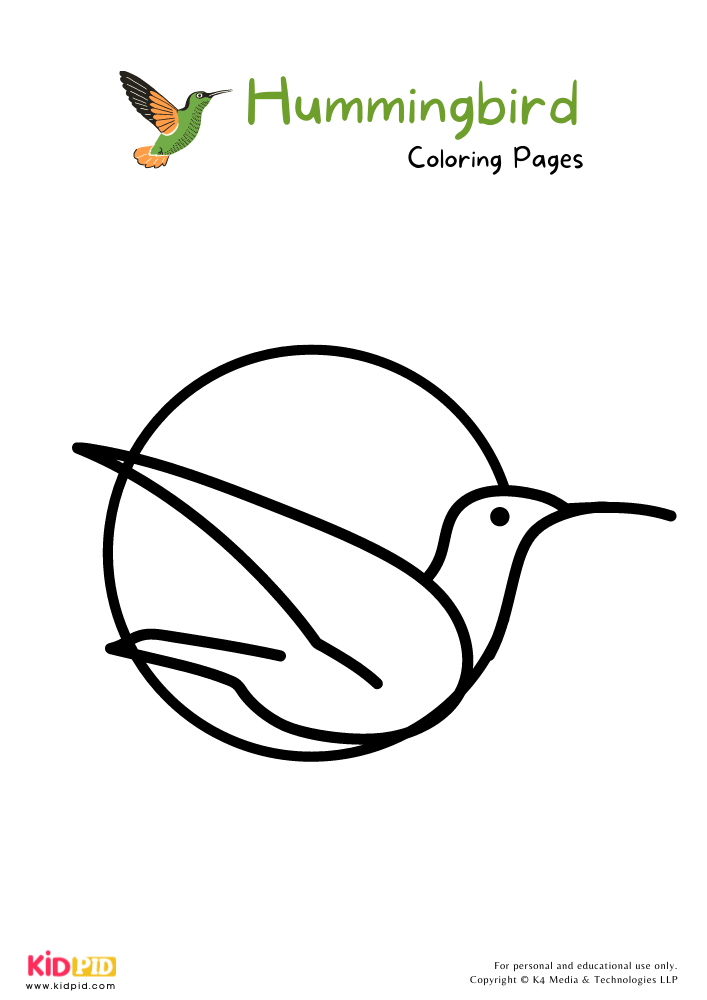 Hummingbird Coloring Pages For Kids – Free Printables