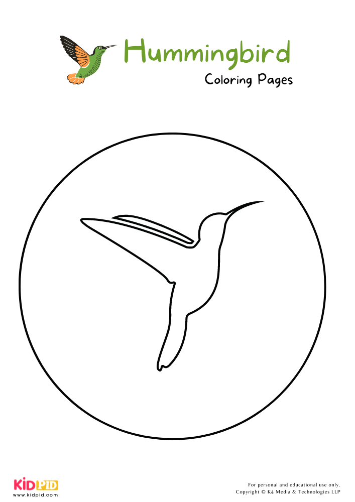 Hummingbird Coloring Pages For Kids – Free Printables