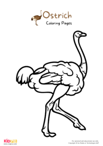 Ostrich Coloring Pages For Kids – Free Printables - Kids Art & Craft