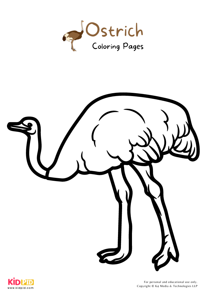 Ostrich Coloring Pages For Kids – Free Printables